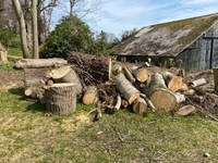 bolsaged firewood for sale near me